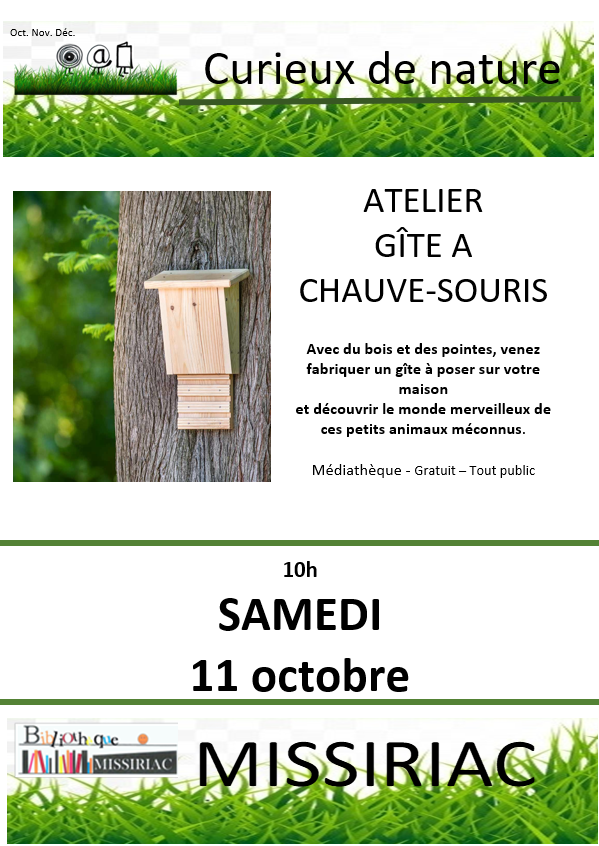 2025 affiche gite chauve souris