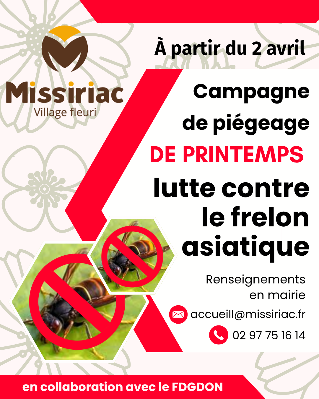 campagne lutte frelons 2026